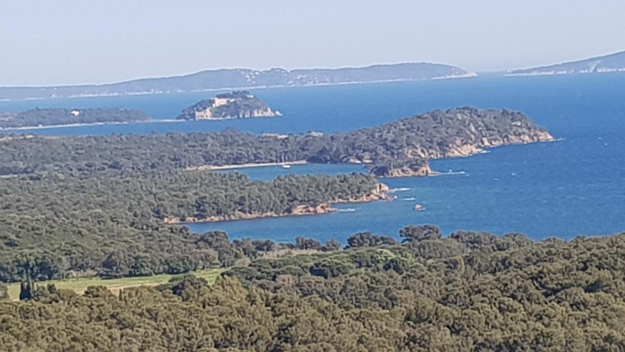 Апартаменты Rez De Jardin T3 Recent Et Calme Au Nouvelles Terres A La Londe Les Maures Экстерьер фото
