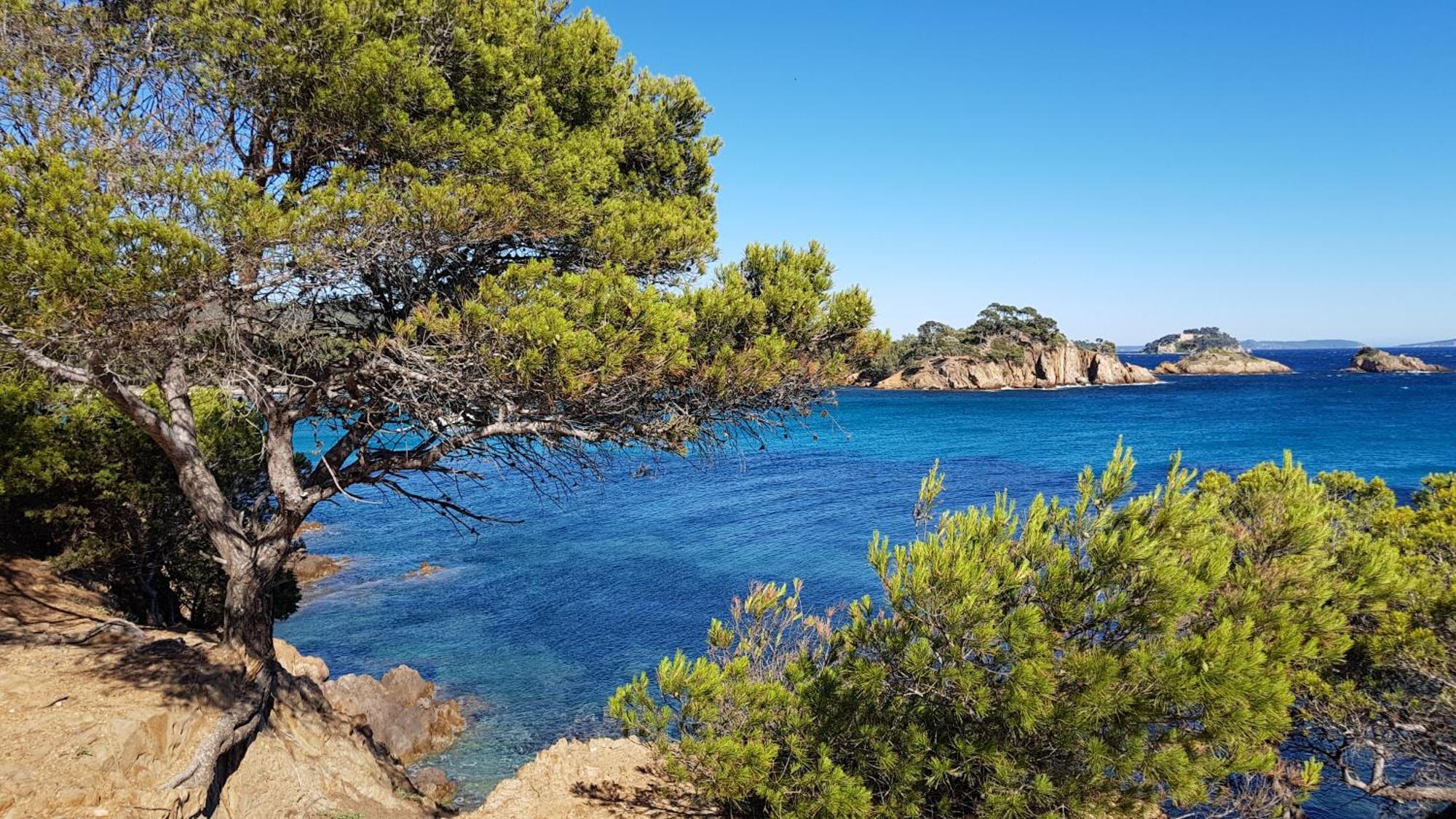 Апартаменты Rez De Jardin T3 Recent Et Calme Au Nouvelles Terres A La Londe Les Maures Экстерьер фото