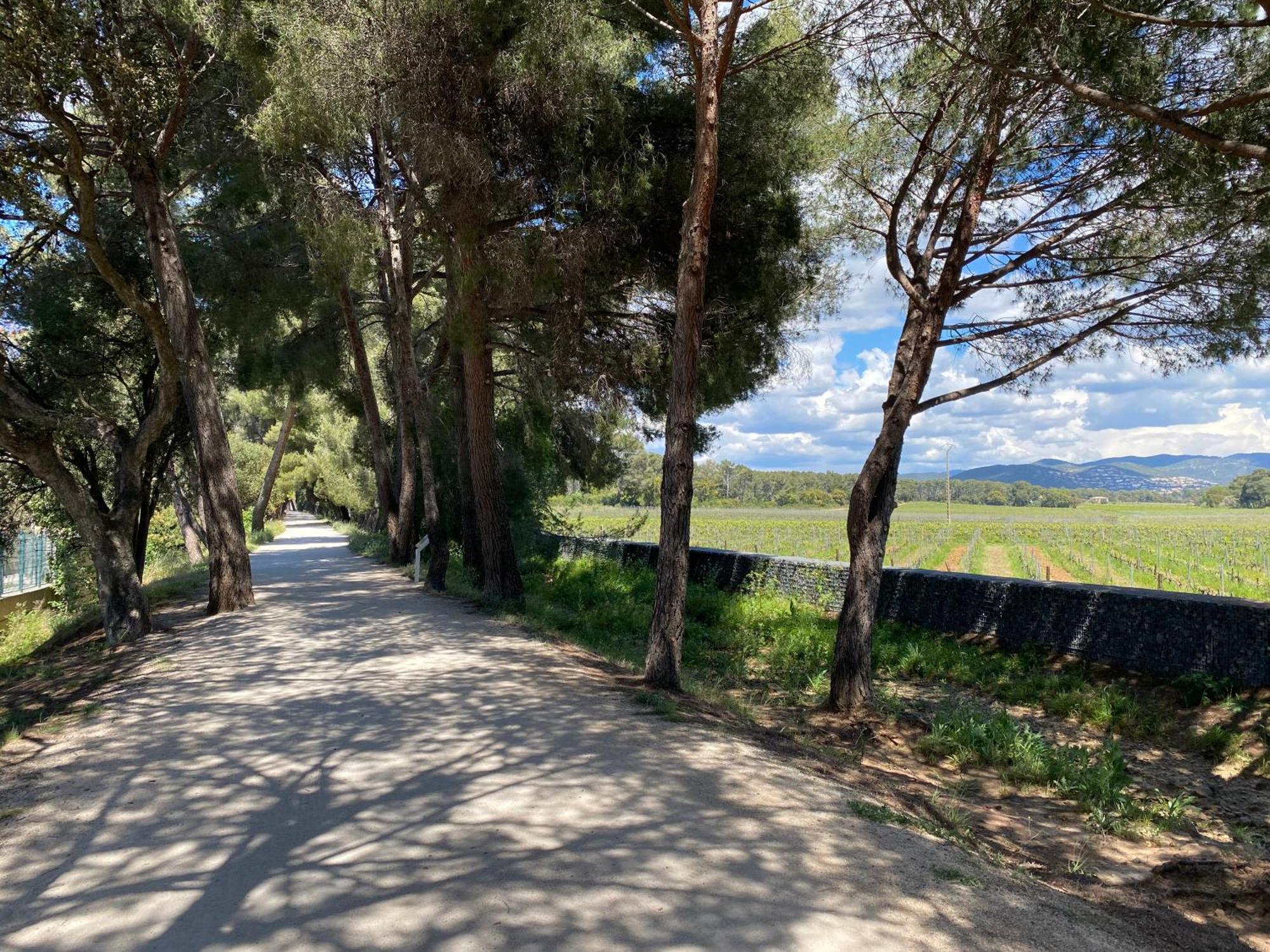 Апартаменты Rez De Jardin T3 Recent Et Calme Au Nouvelles Terres A La Londe Les Maures Экстерьер фото