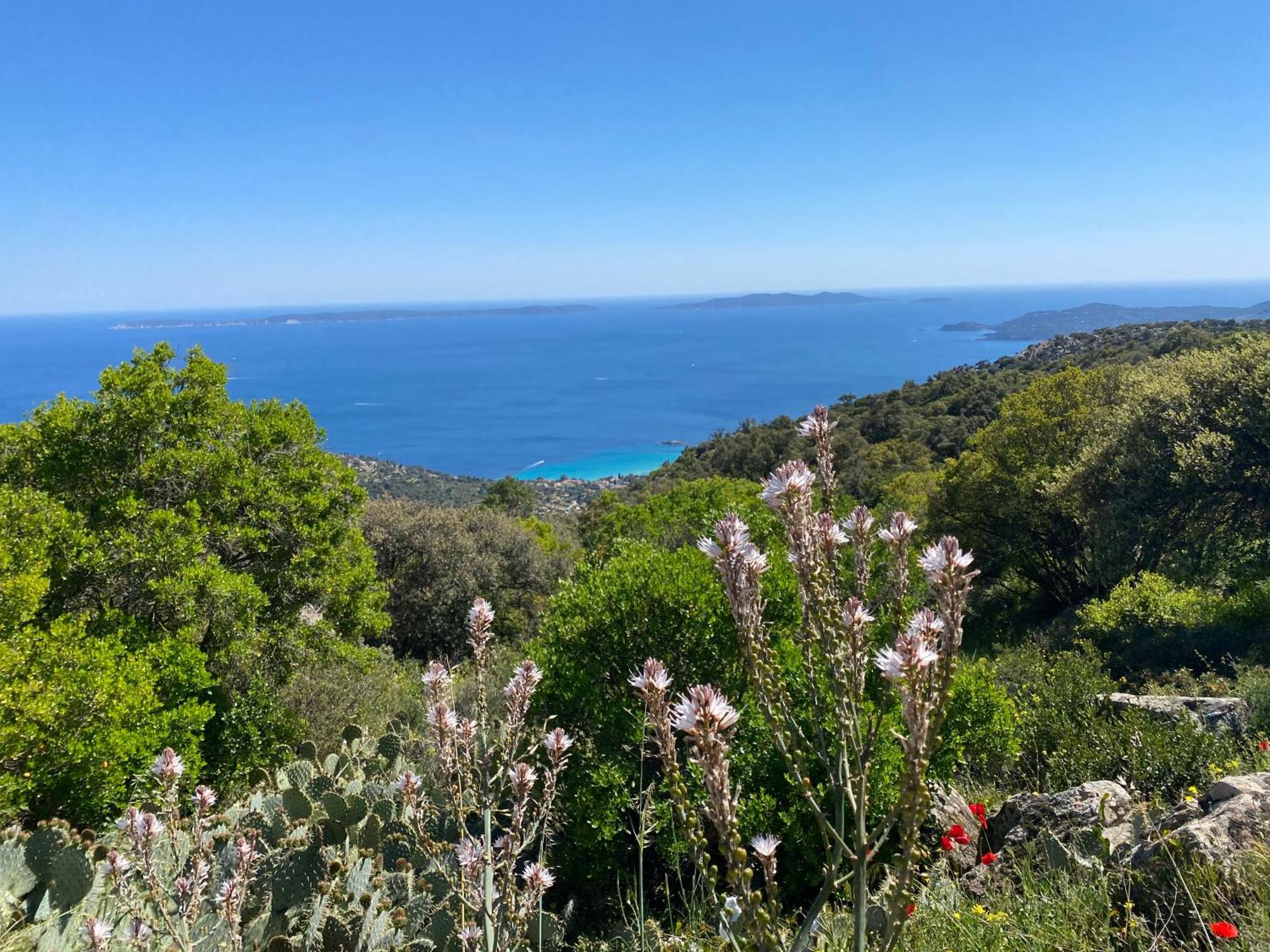 Апартаменты Rez De Jardin T3 Recent Et Calme Au Nouvelles Terres A La Londe Les Maures Экстерьер фото