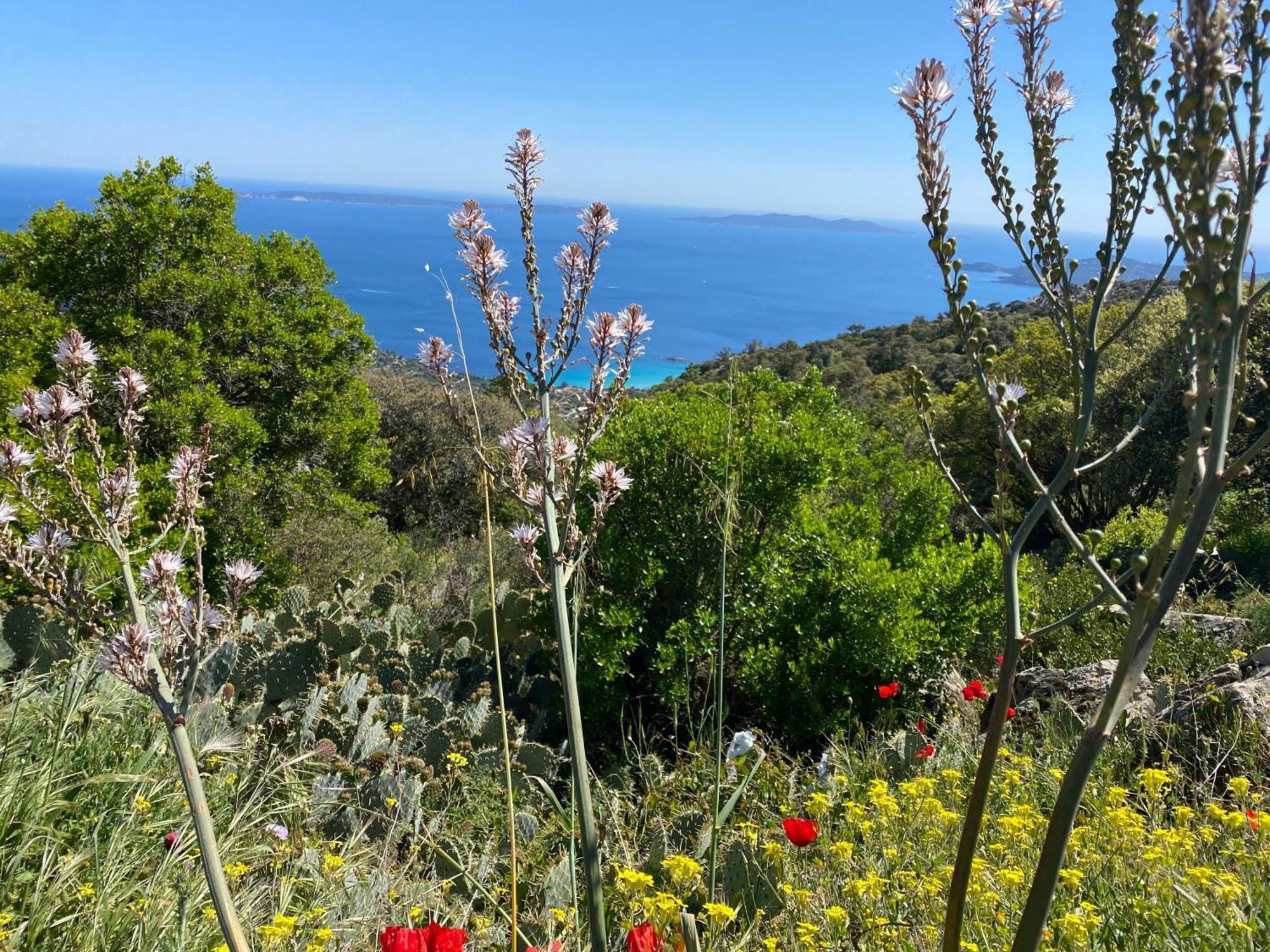 Апартаменты Rez De Jardin T3 Recent Et Calme Au Nouvelles Terres A La Londe Les Maures Экстерьер фото