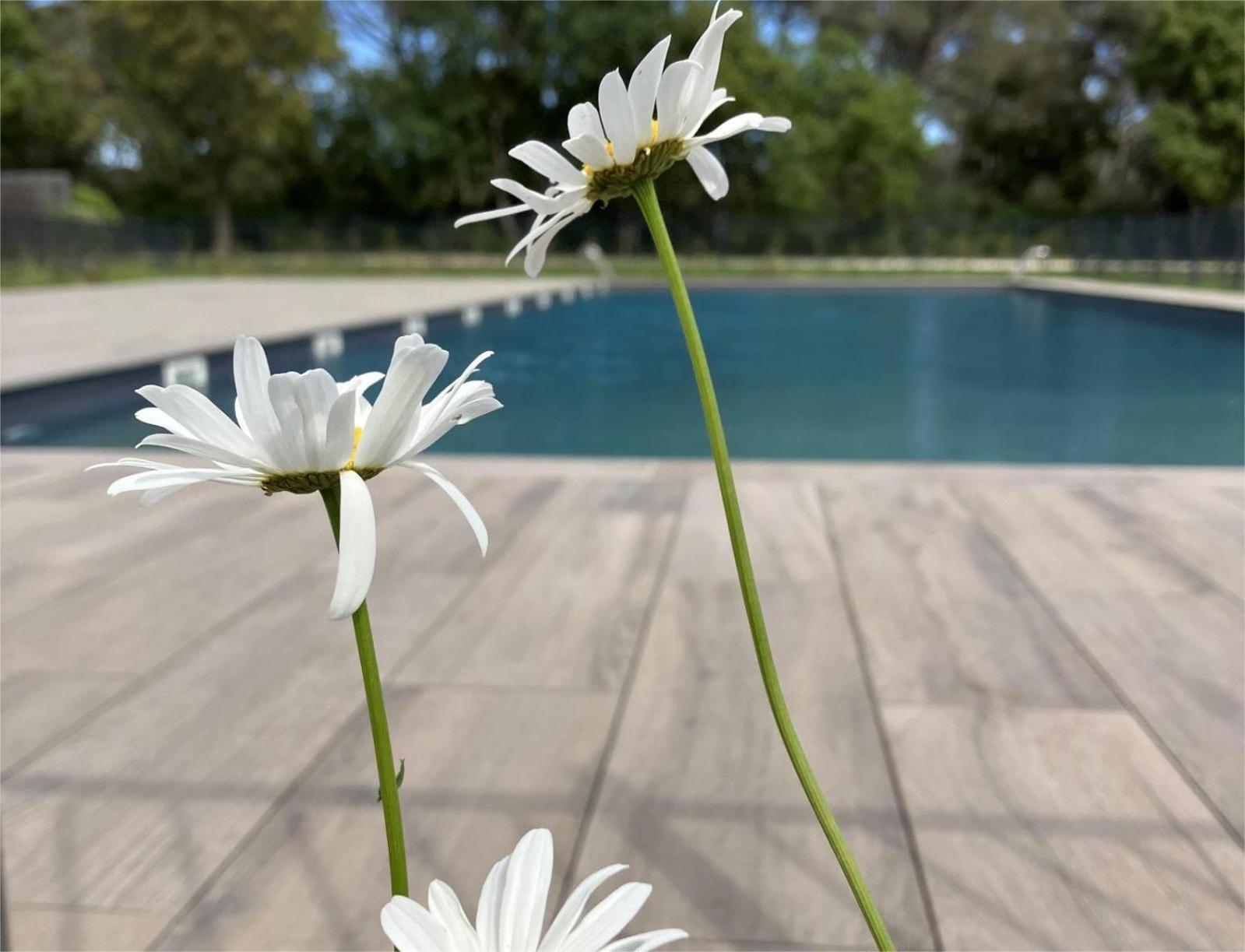 Апартаменты Rez De Jardin T3 Recent Et Calme Au Nouvelles Terres A La Londe Les Maures Экстерьер фото